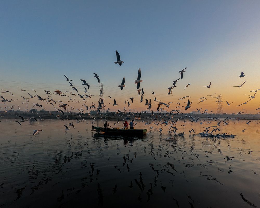 Photograph by Sreevith Penti