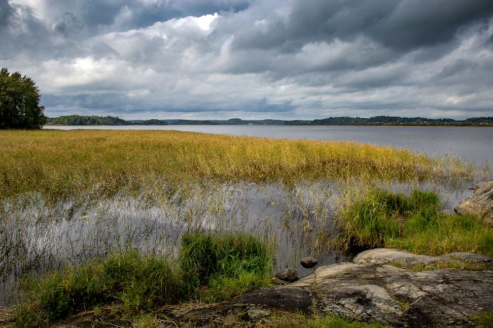 Photograph by Ангелина Ильичева