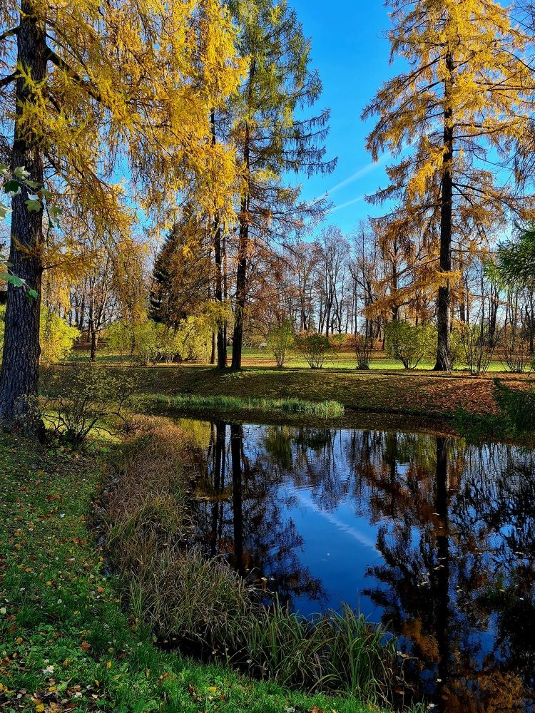 Photograph by Ольга Михайлова