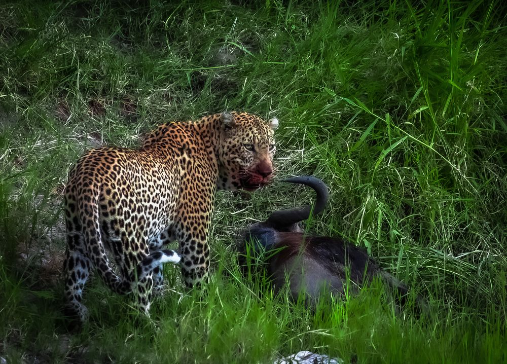 Photograph by Vita Potomova