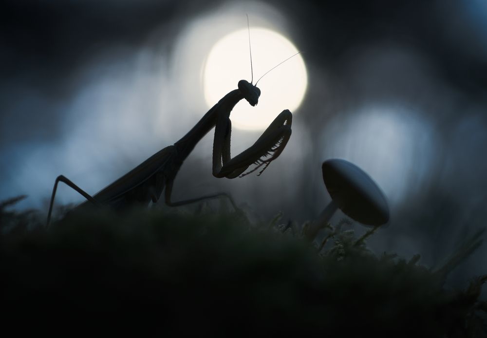 Photograph by Panagiotis Dalagiorgos