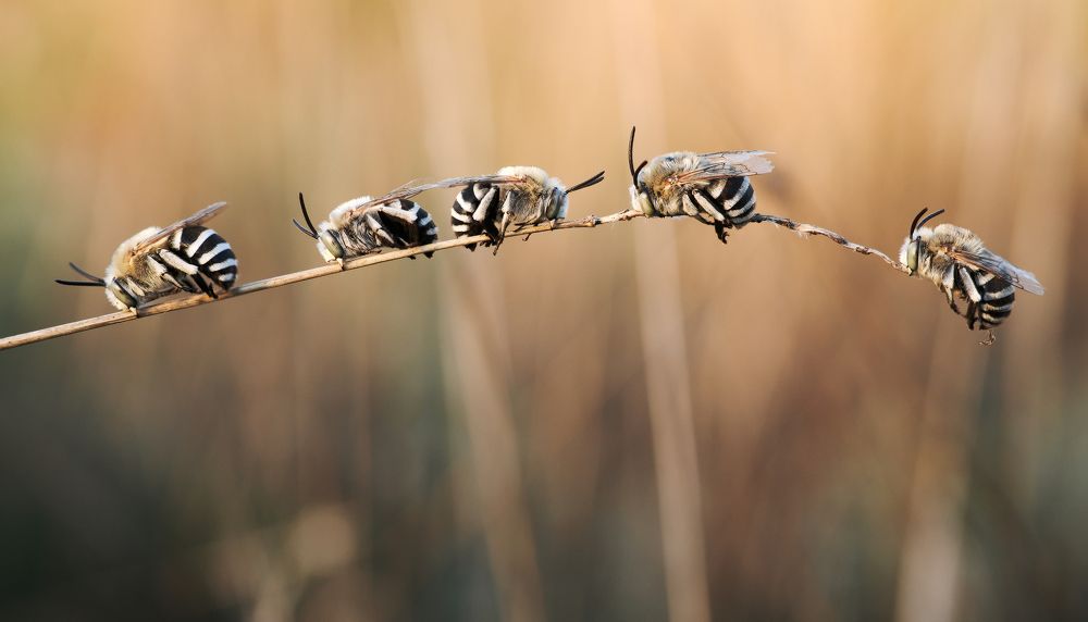 Фотография автора Panagiotis Dalagiorgos
