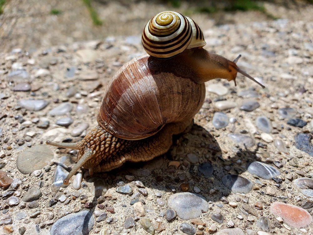 Photograph by Volkova Nataliia