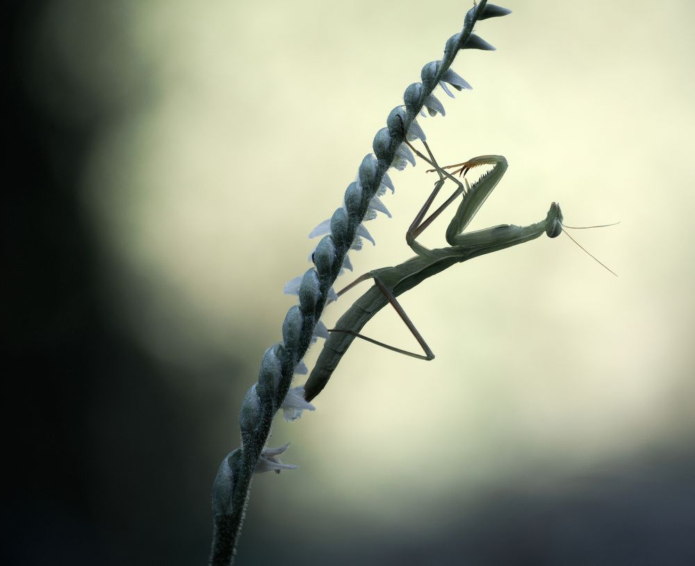 Фотография автора Panagiotis Dalagiorgos