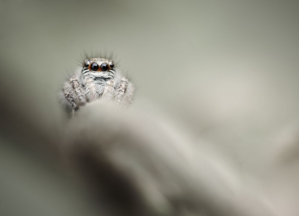 Фотография автора Panagiotis Dalagiorgos