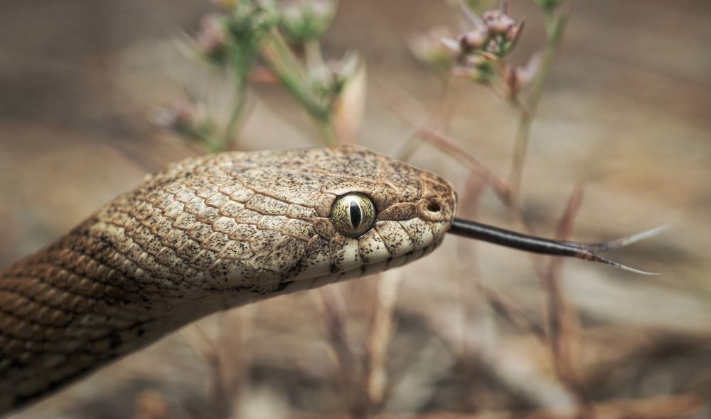 Фотография автора Panagiotis Dalagiorgos