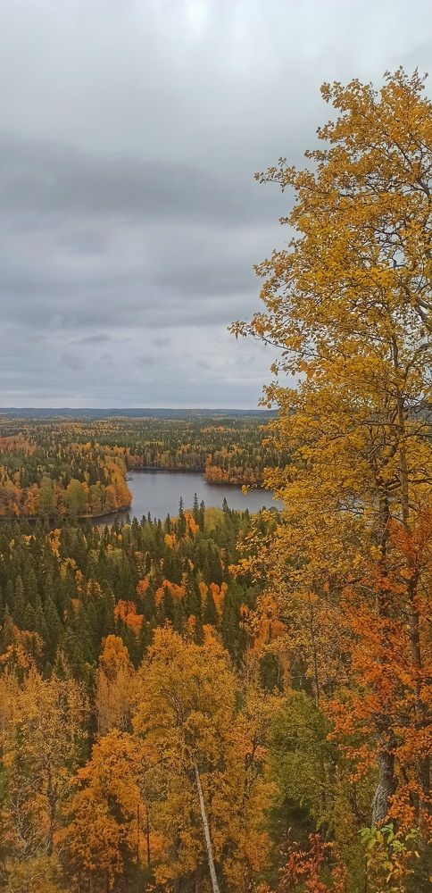 Photograph by Елена Алсуфьева