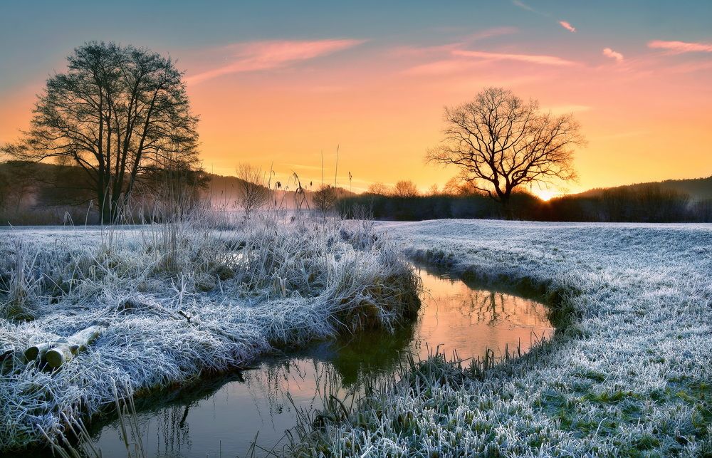 Photograph by Elena Wymann