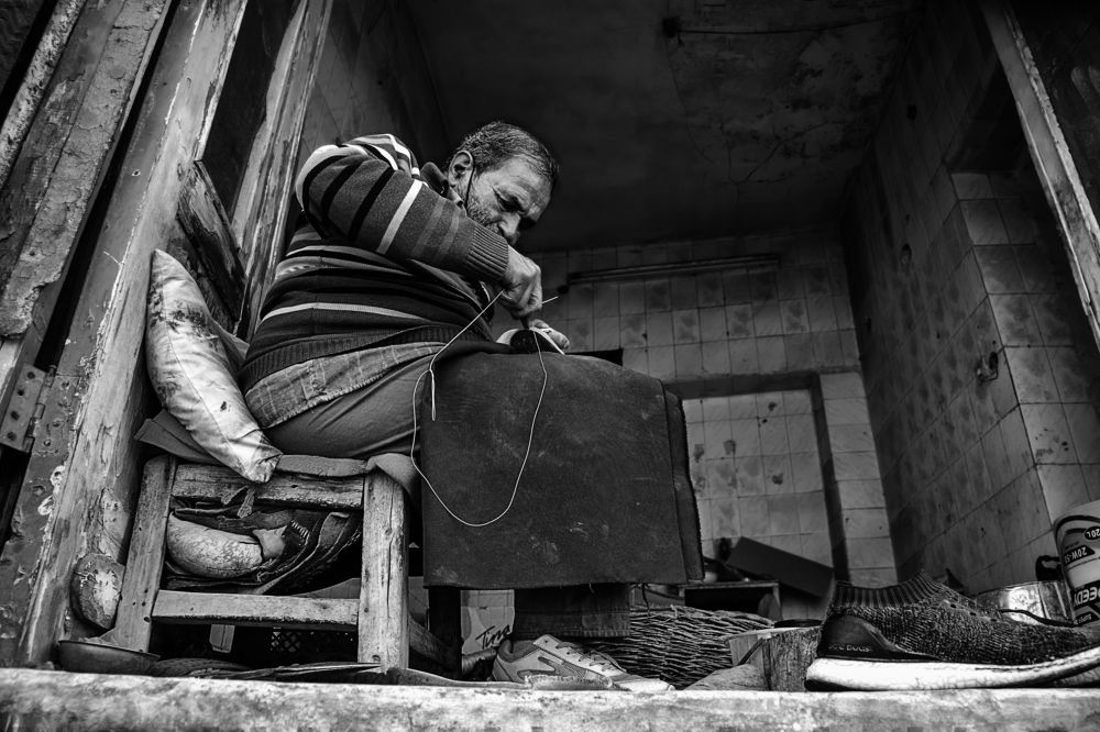 Photograph by seyedmohamad tabrizi