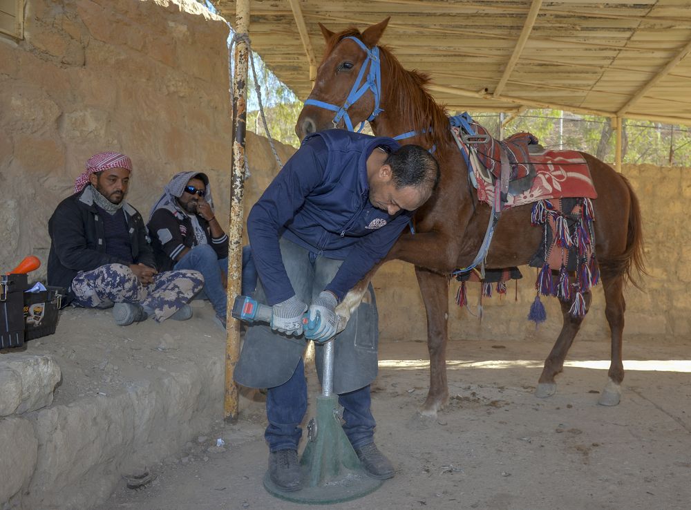 Photograph by Raed naser