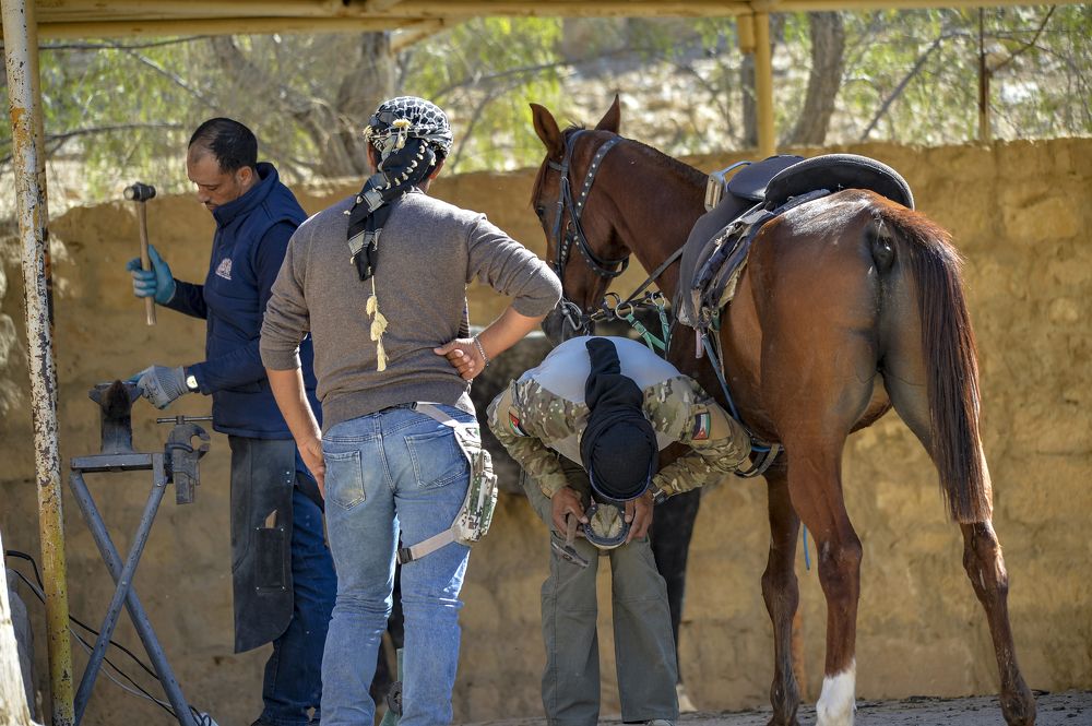 Photograph by Raed naser