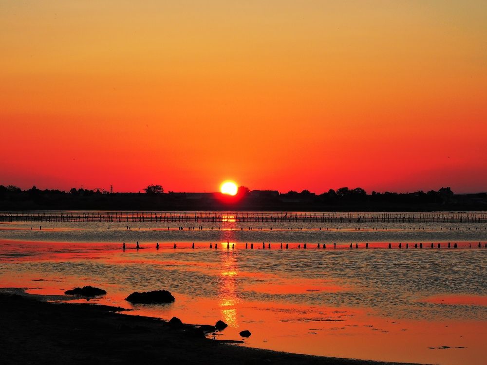 Photograph by Наталия Романова