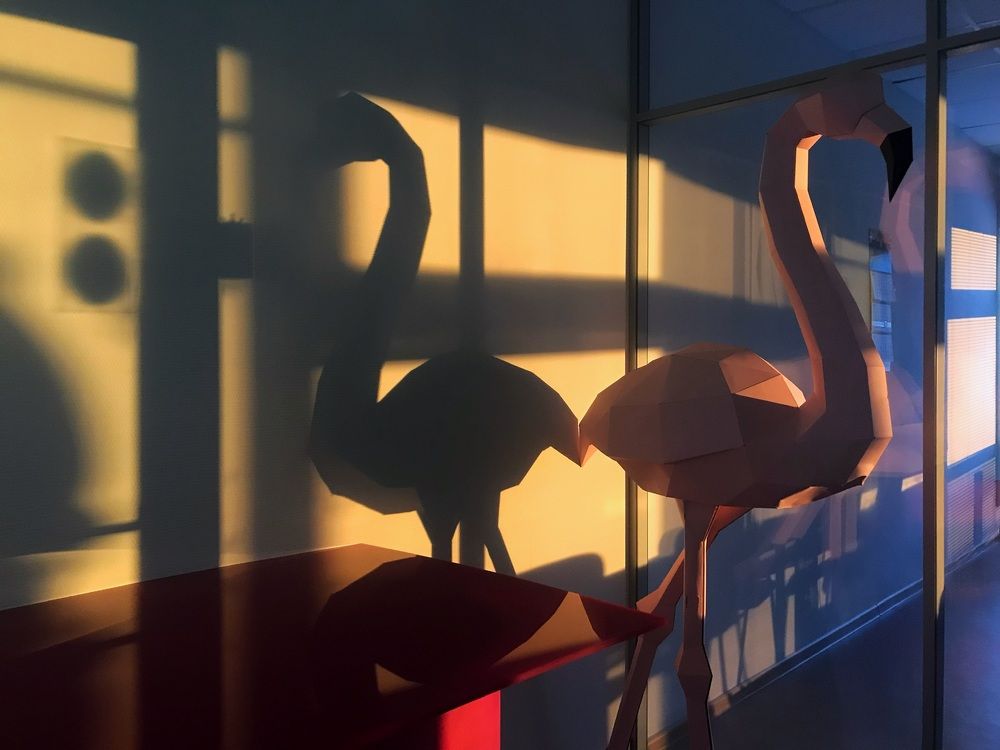 Фотография автора Земскова Дарья