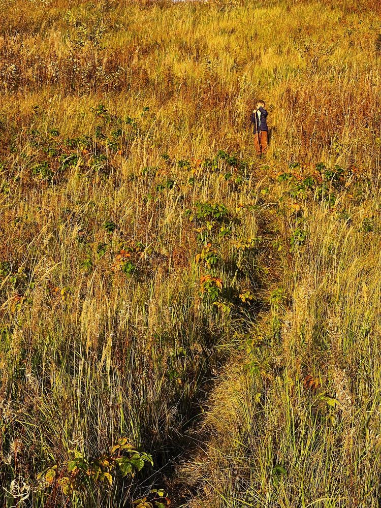 Photograph by Evgenia Barinova