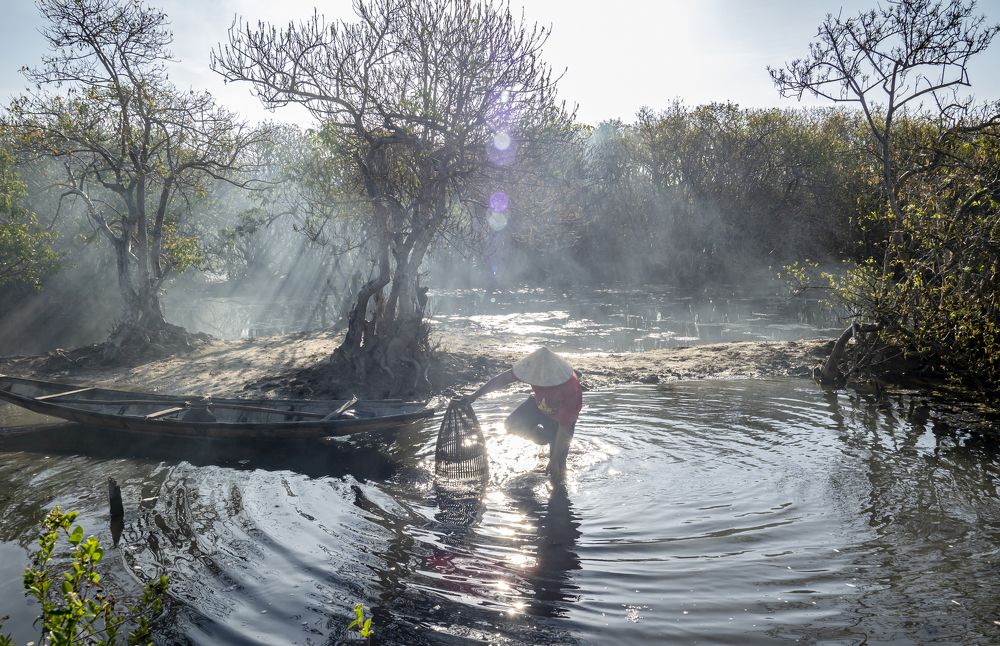 Фотография автора Sơn nguyễn ngọc