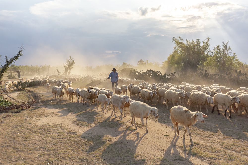 Photograph by Sơn nguyễn ngọc