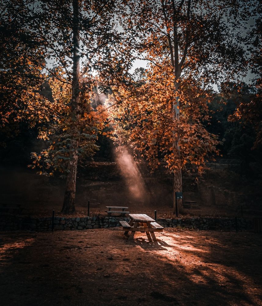 Photograph by אסף אברס