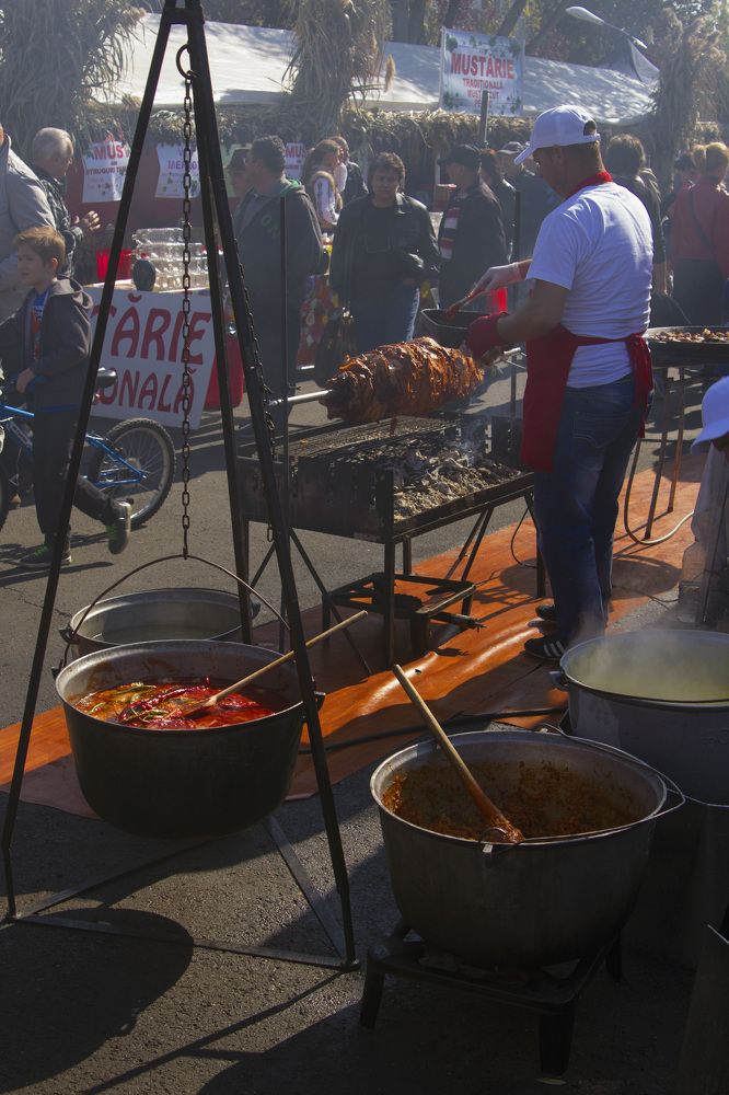 Photograph by Cojanu Silviu