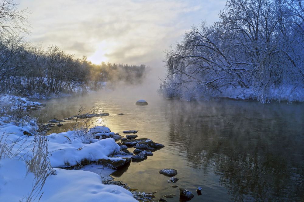 Photograph by Мишустина Татьяна