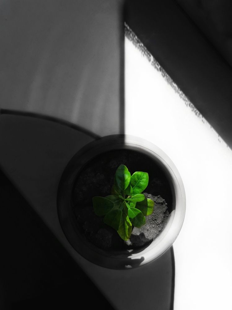 Photograph by Анастасия Дубинина