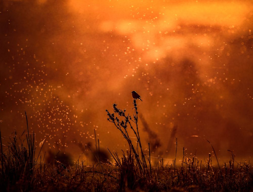 Photograph by Dhruv Shilpi