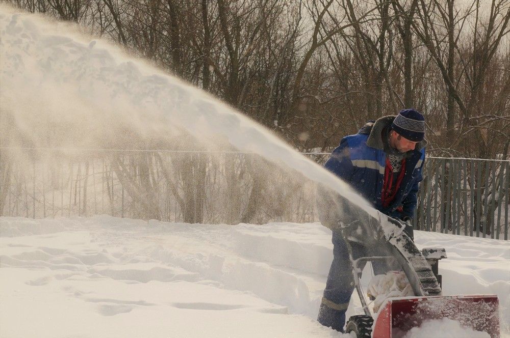 Фотография автора IRINA FILIPPOVA