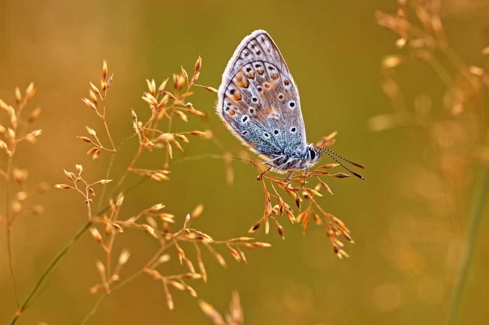 Photograph by Олег Резенов