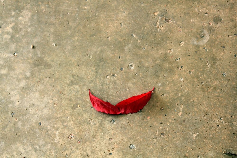 Photograph by Olga Bagaeva