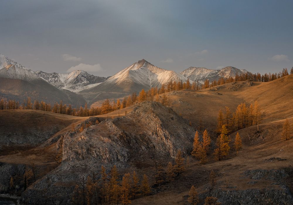 Photograph by Трофимов Алексей