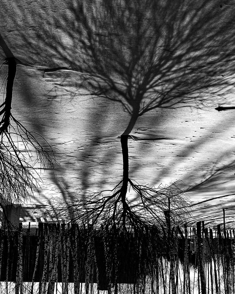 Photograph by Наталья