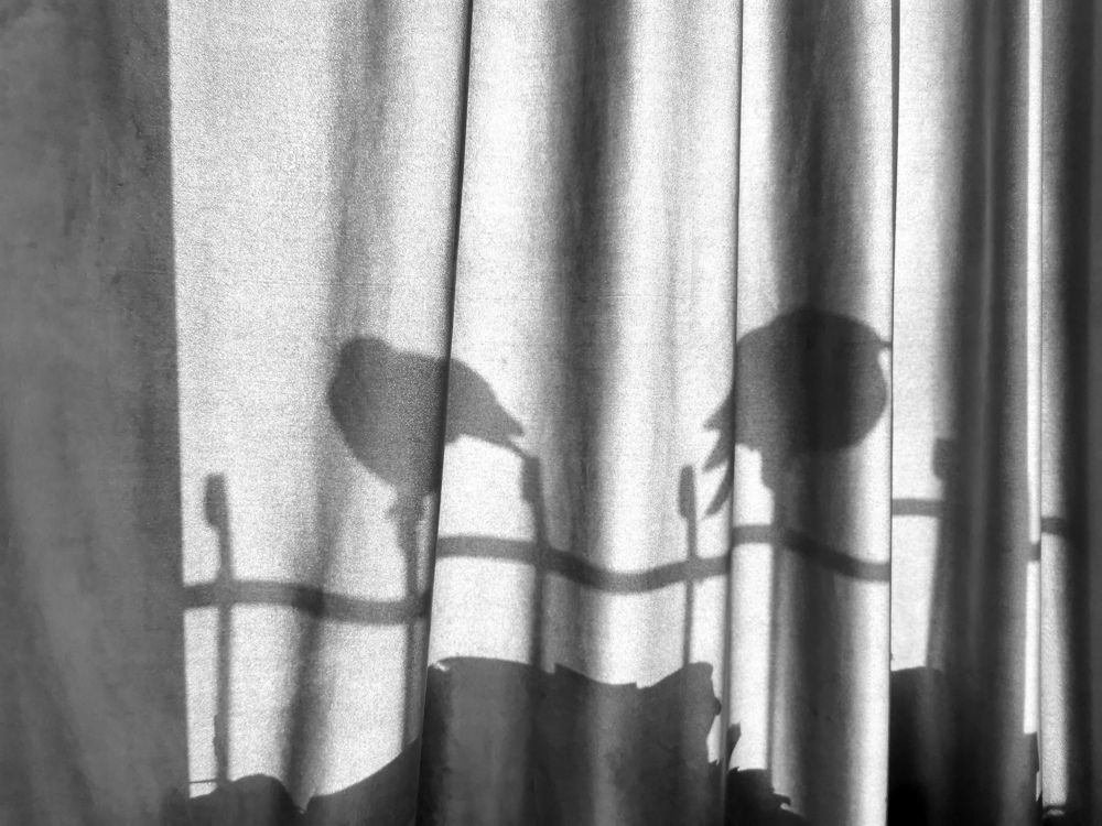 Photograph by Gaukhar Yerkimbekova