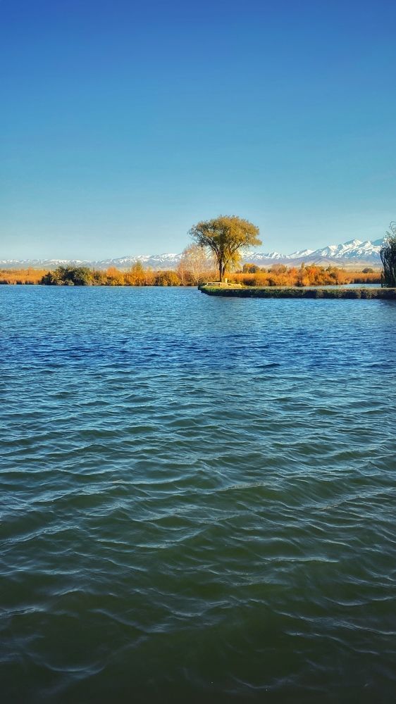 Photograph by Дмитрий Балеевских