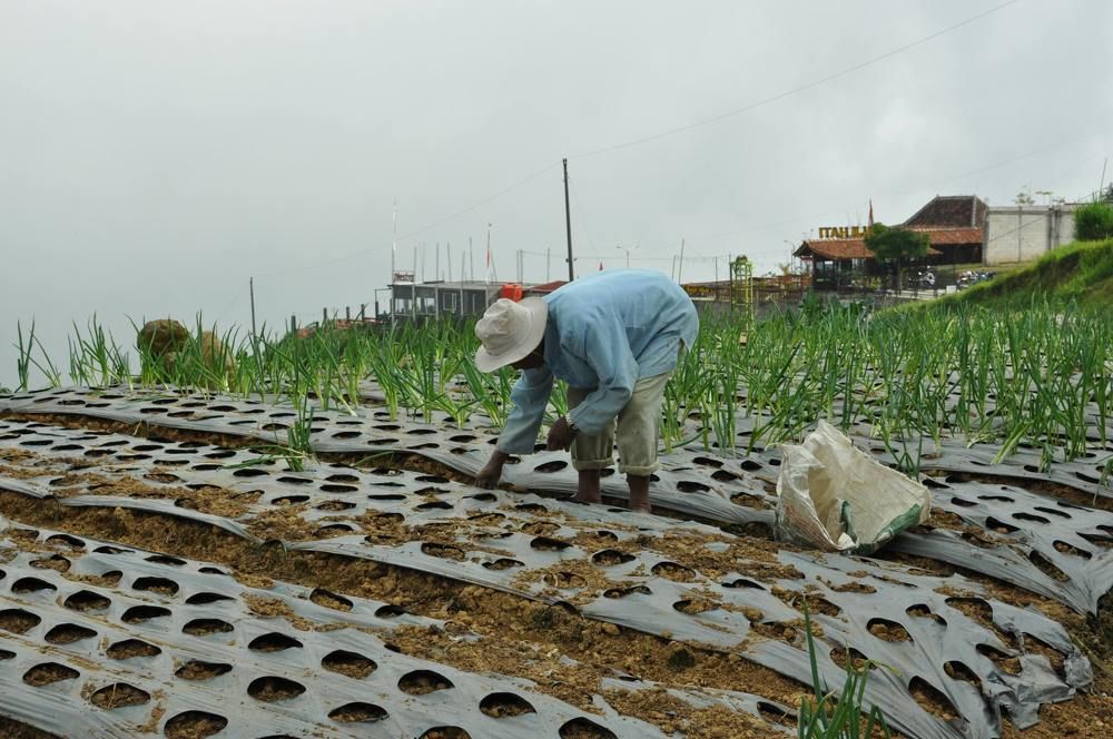 Photograph by Dina Gumanty