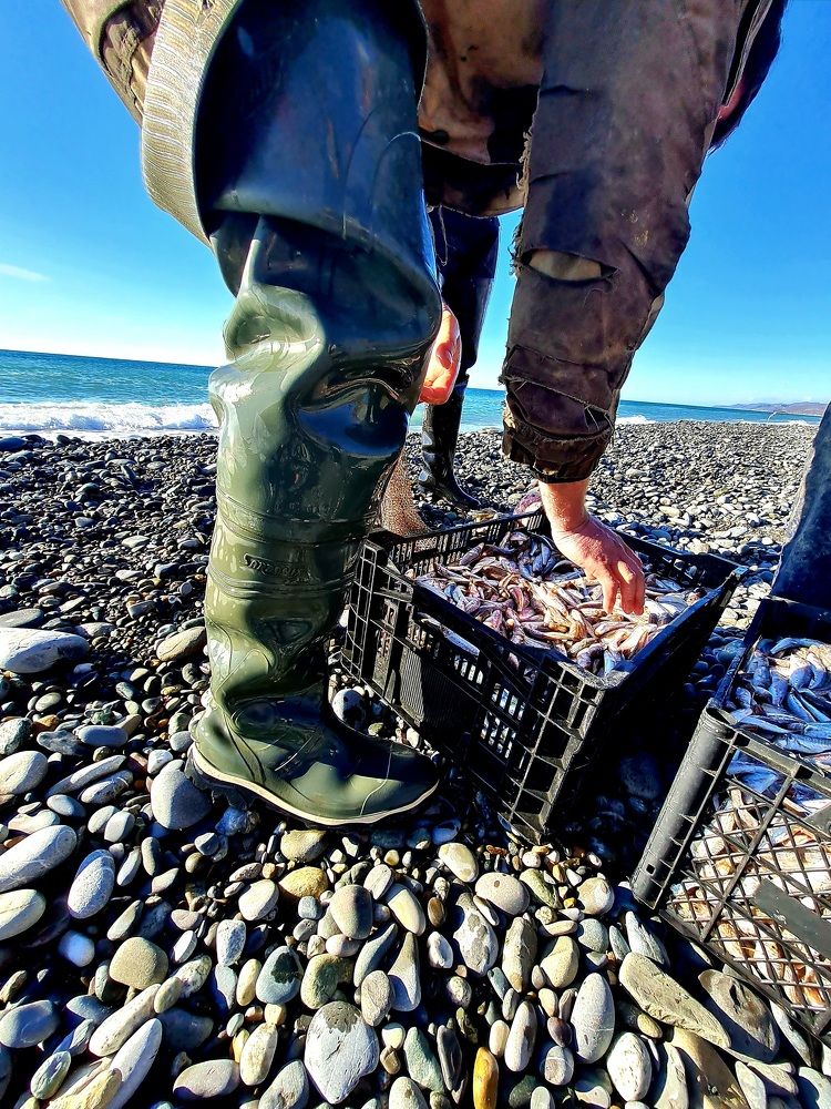 Photograph by Ирина Синягина