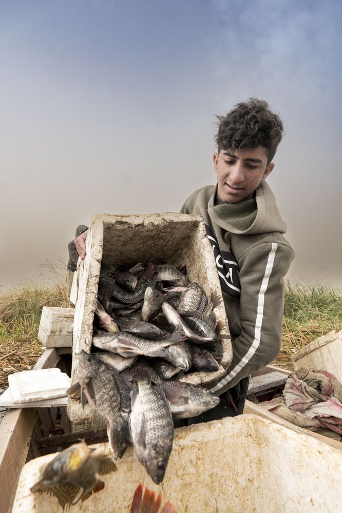 Photograph by Moshtaq AlDelaimy