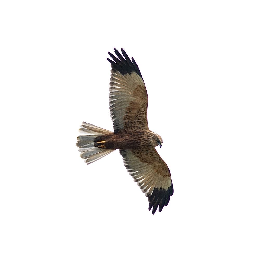 Photograph by Dyakon Zhora