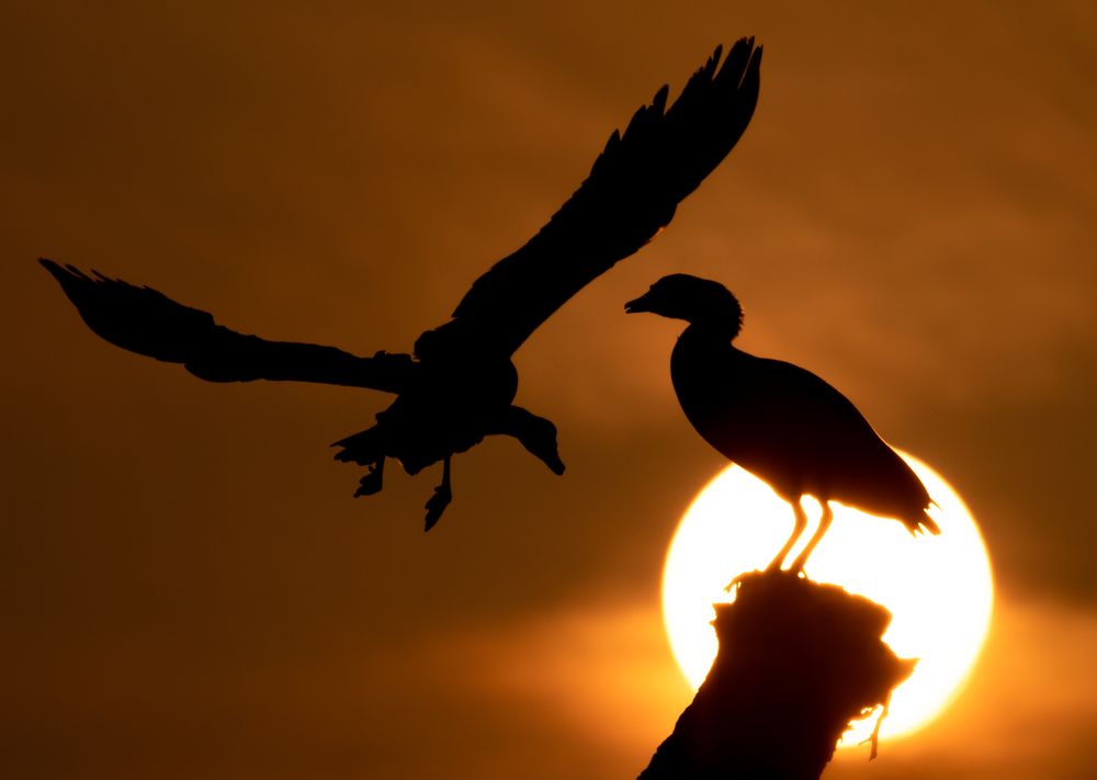 Фотография автора Hari Govindarajulu