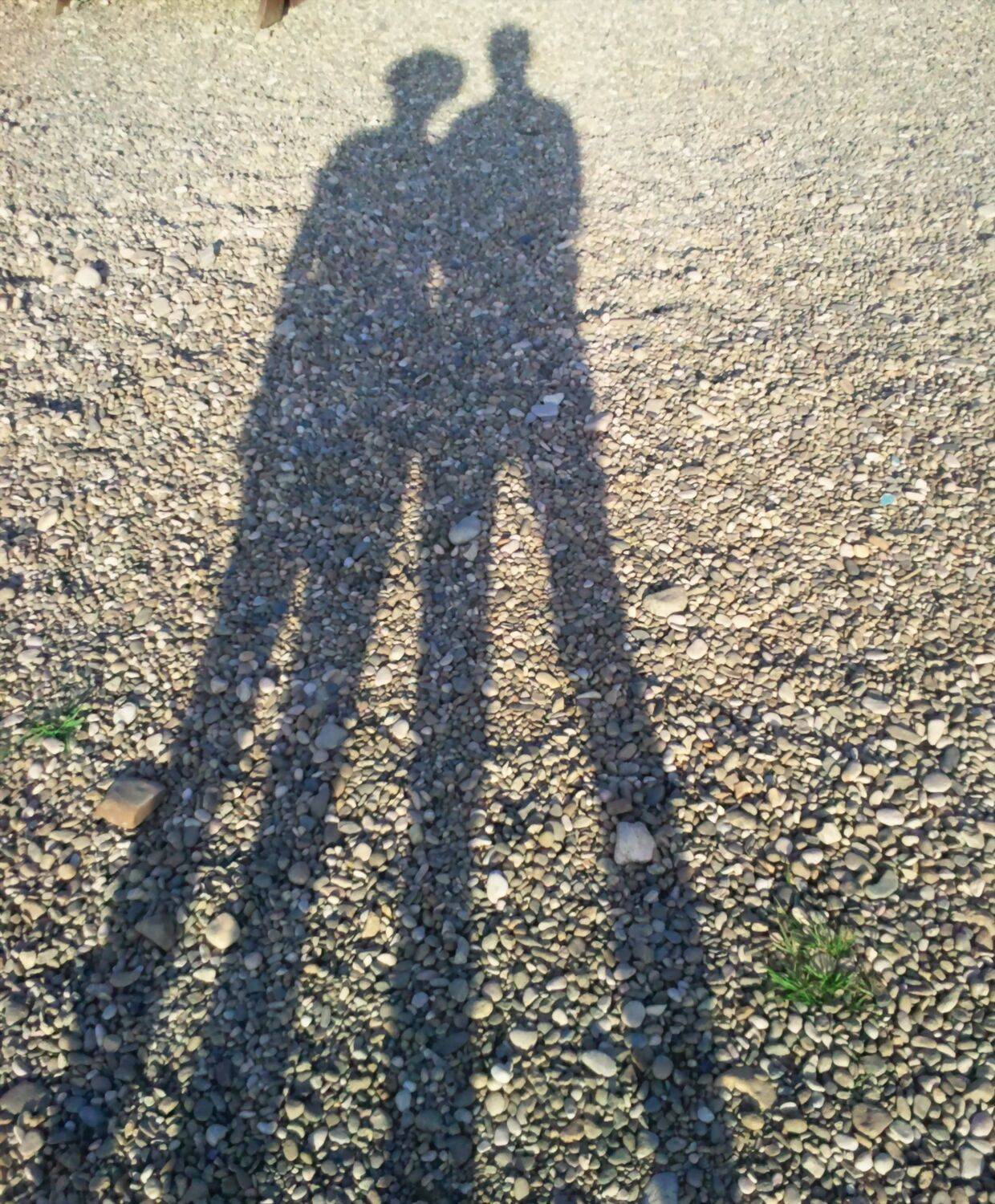 Photo #8414051