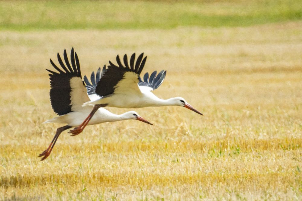Photograph by Алексей Борисов