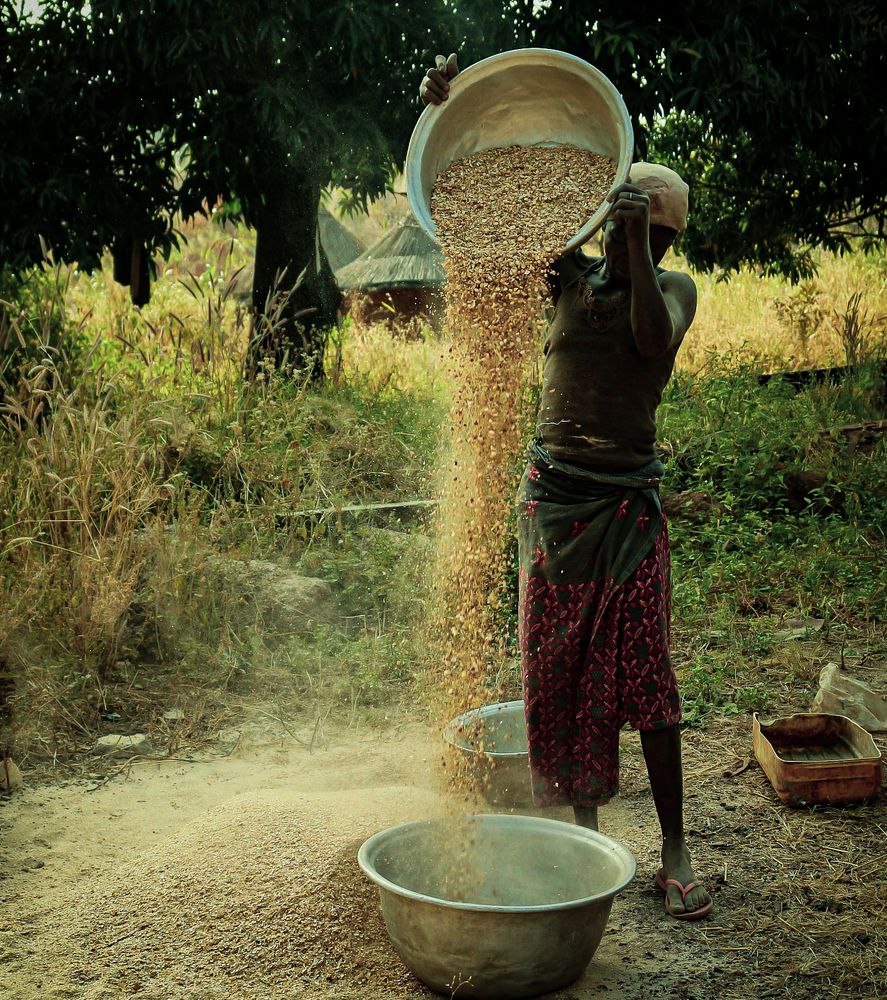 Photograph by Justin SODOGANDJI