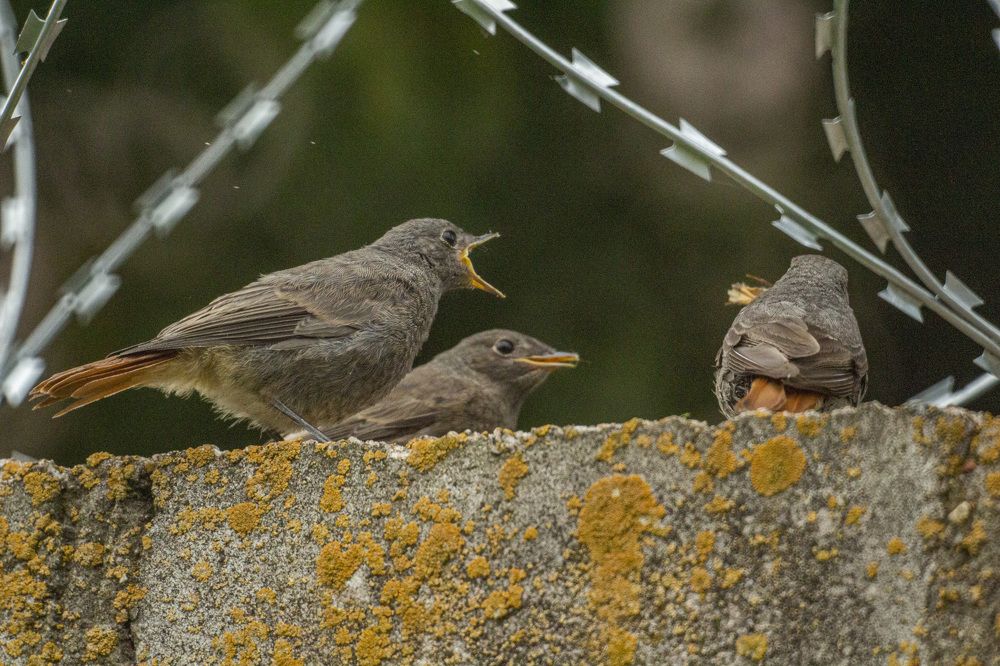Photograph by Алексей Борисов