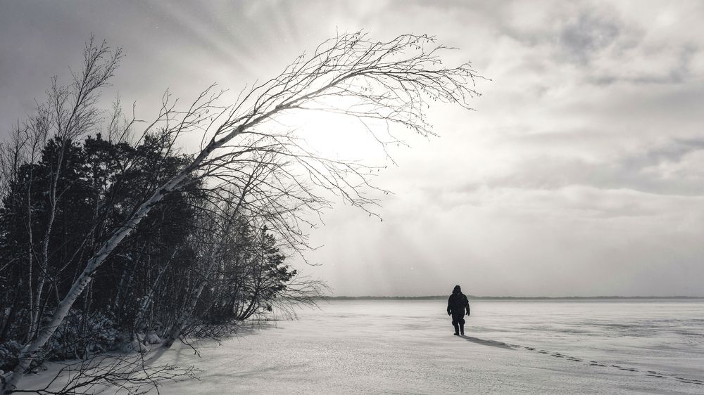 Photograph by Денис Григорьев