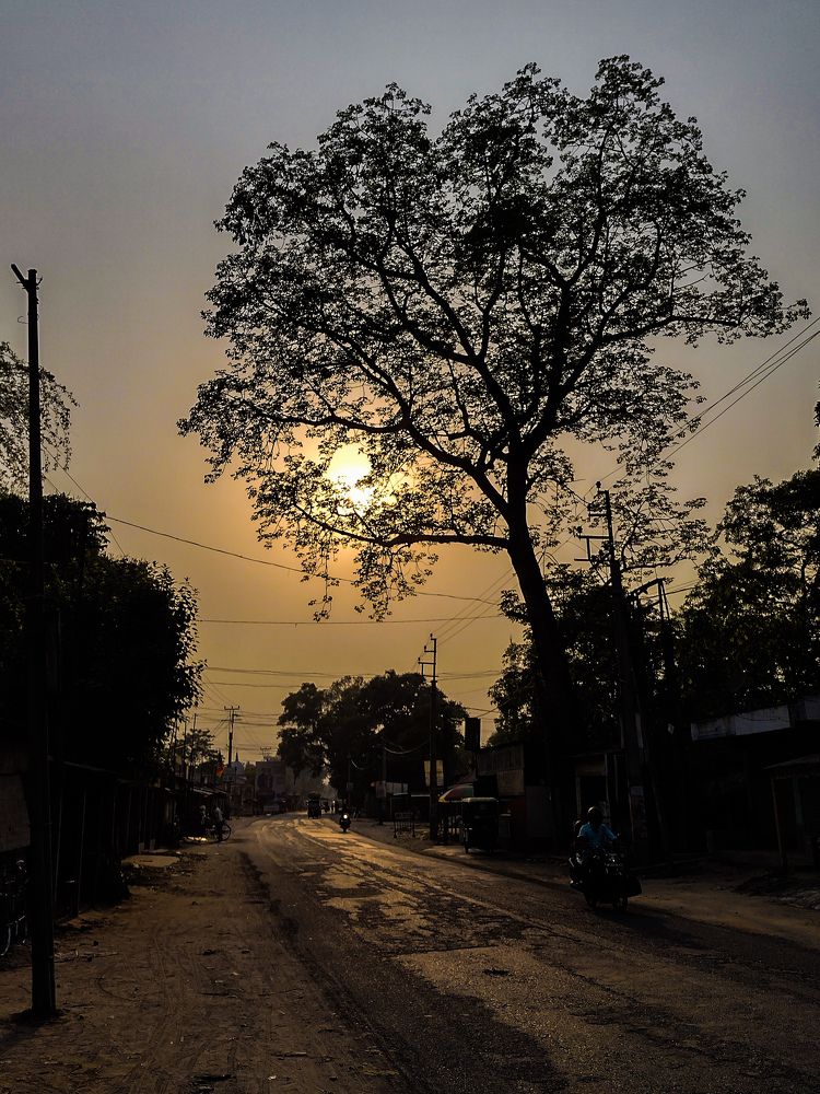 Фотография автора Subhankar Sarkar