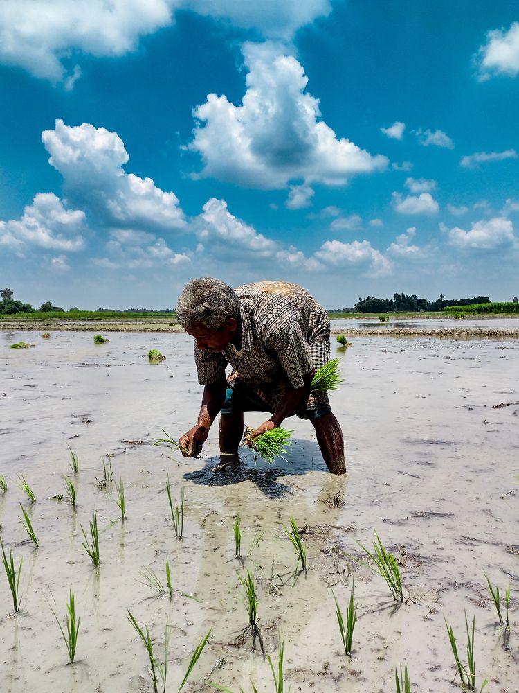Фотография автора Subhankar Sarkar
