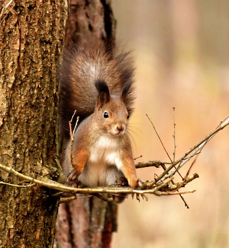 Photograph by Vitalijs Kopa