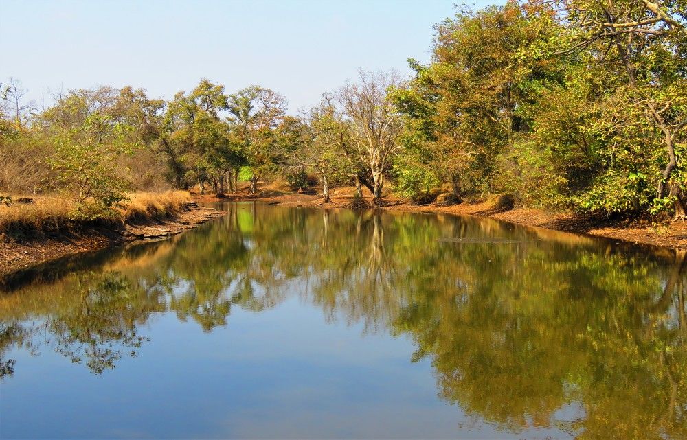 Lake surrounded by clam banks