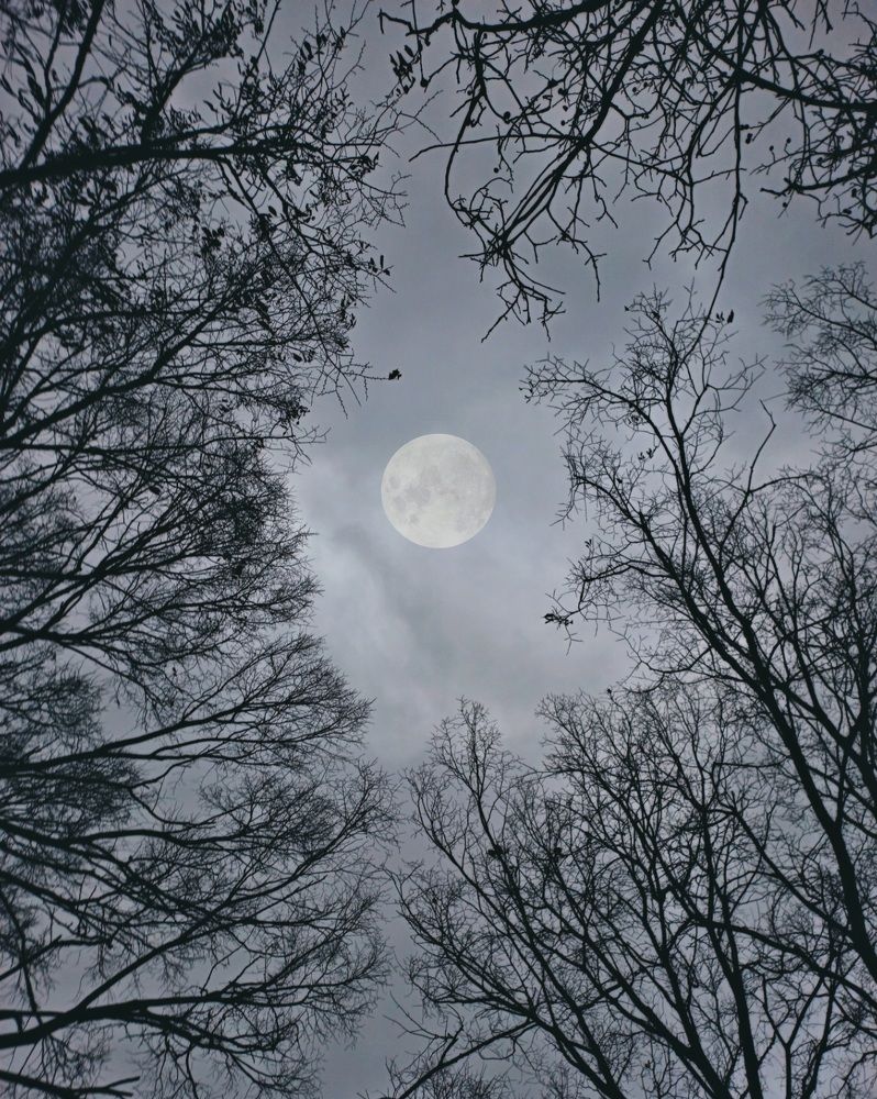 Фотография автора Валерия Правдюк