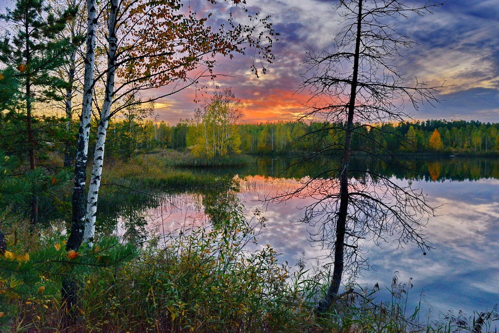 Photograph by Валерий Толмачев