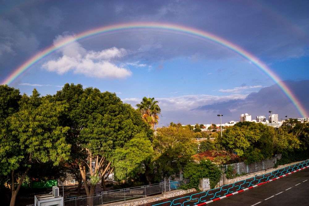 Photograph by Виктория Солодар