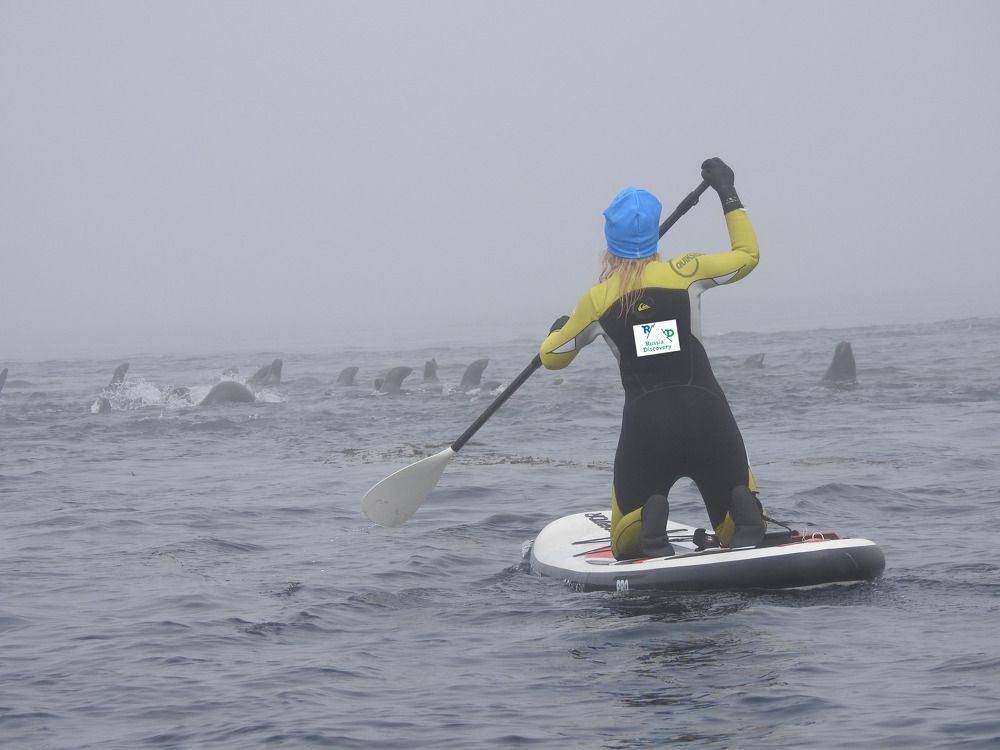 Photograph by Николай Александрович